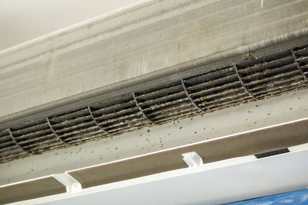 Best Air Duct Cleaning Near Me  in Pembroke Pines, FL